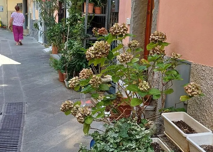 Apartment Mare Blu Marola Giardino E Vista Mare La Spezia